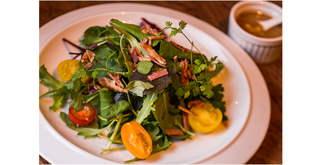 グリーンサラダ 塩麹ドレッシング 