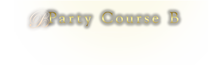 Party Course Bv